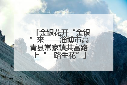 金银花开“金银”来——淄博市高青县常家镇共富路上“一路生花”